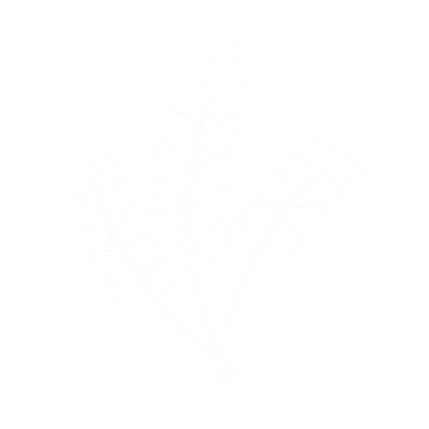 wheat